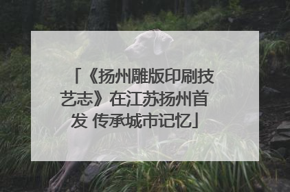 《扬州雕版印刷技艺志》在江苏扬州首发 传承城市记忆