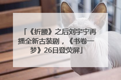 《折腰》之后刘宇宁再播全新古装剧，《书卷一梦》26日登荧屏