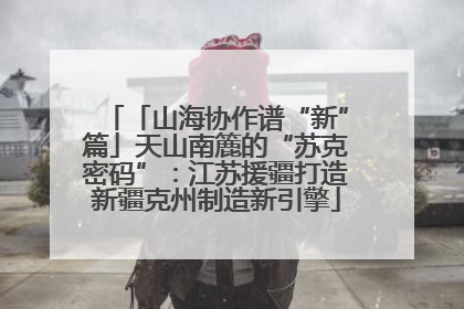 「山海协作谱“新”篇」天山南簏的“苏克密码”：江苏援疆打造新疆克州制造新引擎