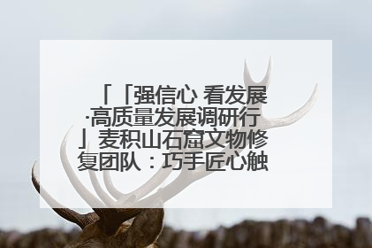 「强信心 看发展·高质量发展调研行」麦积山石窟文物修复团队：巧手匠心触摸“光阴的故事”