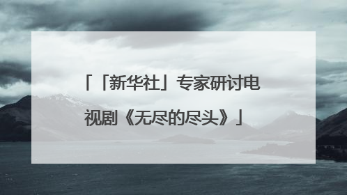 「新华社」专家研讨电视剧《无尽的尽头》