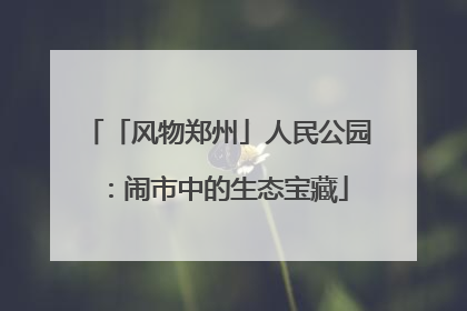 「风物郑州」人民公园：闹市中的生态宝藏