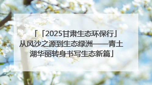 「2025甘肃生态环保行」从风沙之源到生态绿洲——青土湖华丽转身书写生态新篇