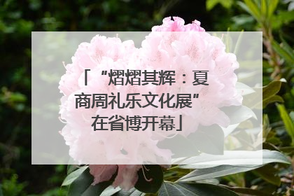 “熠熠其辉：夏商周礼乐文化展”在省博开幕