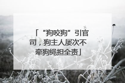 “狗咬狗”引官司，狗主人屡次不牵狗绳担全责