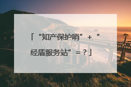 “知产保护哨”+“经盾服务站”=？