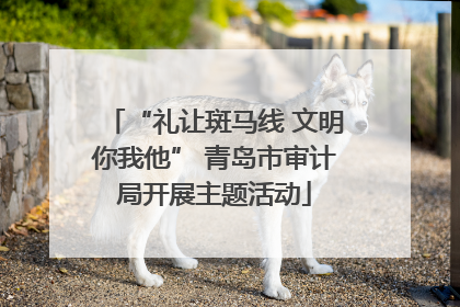 “礼让斑马线 文明你我他” 青岛市审计局开展主题活动