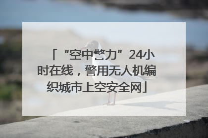 “空中警力”24小时在线，警用无人机编织城市上空安全网
