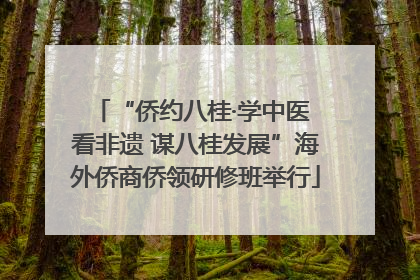 “侨约八桂·学中医 看非遗 谋八桂发展”海外侨商侨领研修班举行
