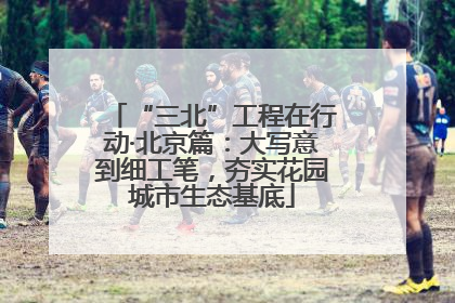 “三北”工程在行动·北京篇：大写意到细工笔，夯实花园城市生态基底