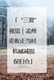 “三夏”视觉｜孟州麦收正当时 机械减损保归仓