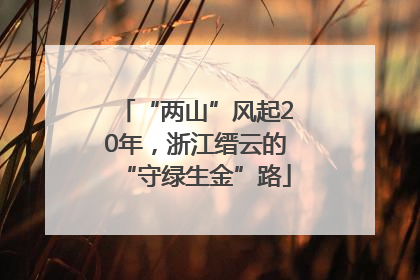 “两山”风起20年，浙江缙云的“守绿生金”路