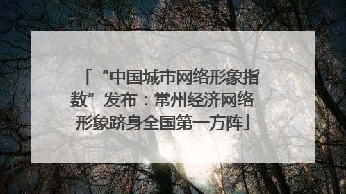 “中国城市网络形象指数”发布：常州经济网络形象跻身全国第一方阵