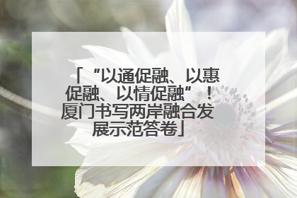 “以通促融、以惠促融、以情促融”！厦门书写两岸融合发展示范答卷
