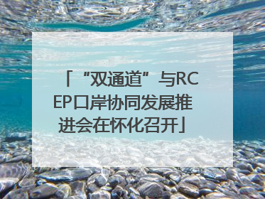 “双通道”与RCEP口岸协同发展推进会在怀化召开