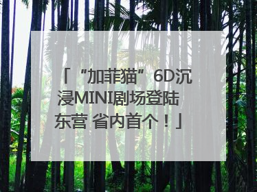 “加菲猫”6D沉浸MINI剧场登陆东营 省内首个！