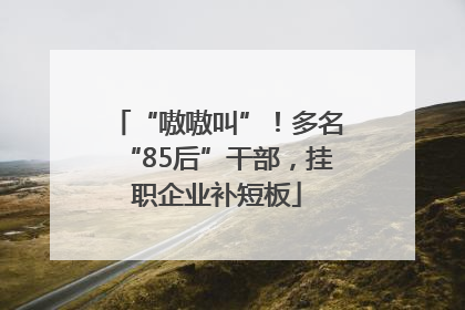 “嗷嗷叫”！多名“85后”干部，挂职企业补短板