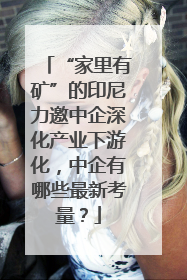“家里有矿”的印尼力邀中企深化产业下游化，中企有哪些最新考量？