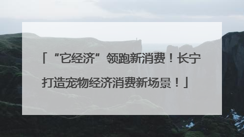 “它经济”领跑新消费！长宁打造宠物经济消费新场景！