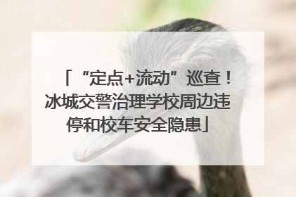 “定点+流动”巡查！冰城交警治理学校周边违停和校车安全隐患