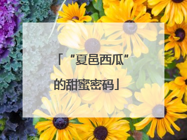 “夏邑西瓜”的甜蜜密码