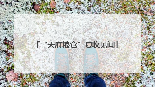 “天府粮仓”夏收见闻