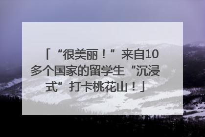 “很美丽！”来自10多个国家的留学生“沉浸式”打卡桃花山！