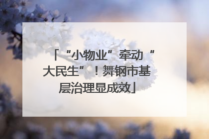 “小物业”牵动“大民生”！舞钢市基层治理显成效