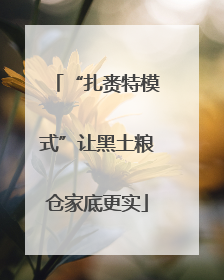 “扎赉特模式”让黑土粮仓家底更实