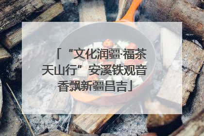 “文化润疆·福茶天山行”安溪铁观音香飘新疆昌吉