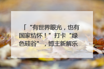 “有世界眼光，也有国家情怀！”打卡“绿色硅谷”，博主新解乐山｜网络名人四川行
