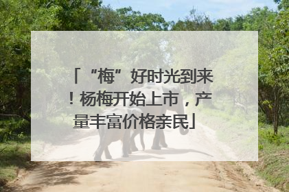 “梅”好时光到来！杨梅开始上市，产量丰富价格亲民