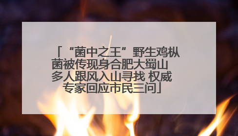 “菌中之王”野生鸡枞菌被传现身合肥大蜀山 多人跟风入山寻找 权威专家回应市民三问