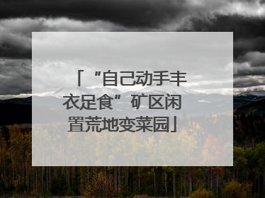 “自己动手丰衣足食”矿区闲置荒地变菜园
