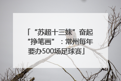 “苏超十三妹”奋起“挣笔画”：常州每年要办500场足球赛