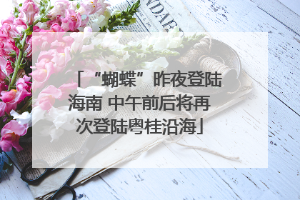 “蝴蝶”昨夜登陆海南 中午前后将再次登陆粤桂沿海