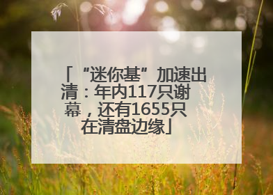 “迷你基”加速出清：年内117只谢幕，还有1655只在清盘边缘