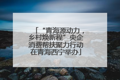 “青海源动力，乡村焕新程”央企消费帮扶聚力行动在青海西宁举办