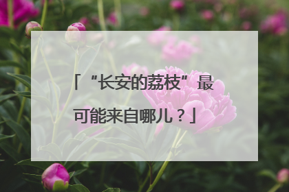 “长安的荔枝”最可能来自哪儿？