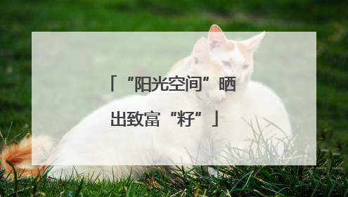 “阳光空间”晒出致富“籽”
