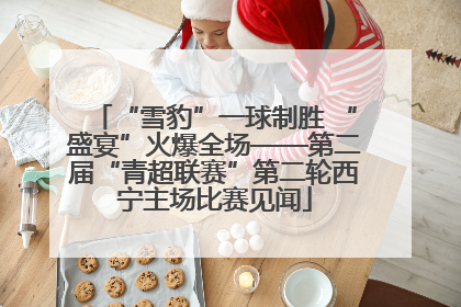 “雪豹”一球制胜 “盛宴”火爆全场——第二届“青超联赛”第二轮西宁主场比赛见闻