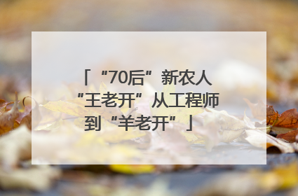 “70后”新农人“王老开”从工程师到“羊老开”
