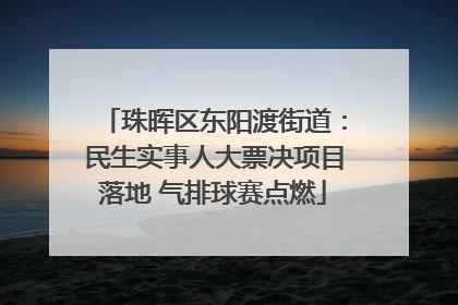 珠晖区东阳渡街道：民生实事人大票决项目落地 气排球赛点燃