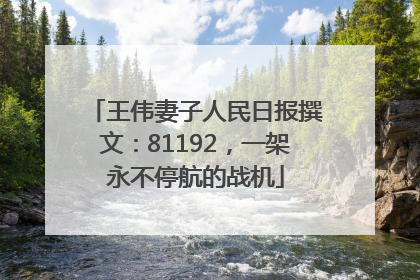 王伟妻子人民日报撰文：81192，一架永不停航的战机