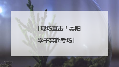 现场直击！襄阳学子奔赴考场