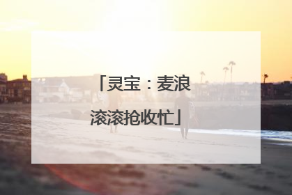 灵宝：麦浪滚滚抢收忙