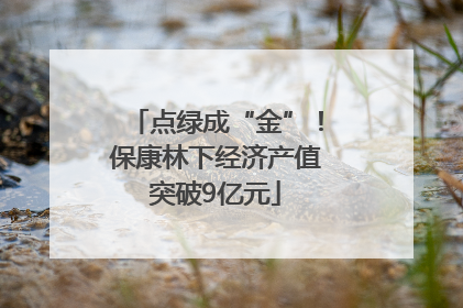 点绿成“金”！保康林下经济产值突破9亿元