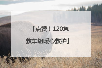 点赞！120急救车组暖心救护