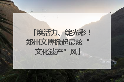焕活力、绽光彩！郑州文博掀起最炫“文化遗产”风