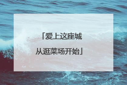 爱上这座城 从逛菜场开始